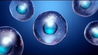 VISUALISATION 