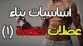 أساسيات بناء عضلات ضخمة - كمال الاجسام للمبتدئين (1)