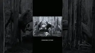 ☠️Skullcrewlers & Three Giant🌲|| kong skull Island Edit⚡&bull;  Monster😈#viralvideo#kong #shorts#trending