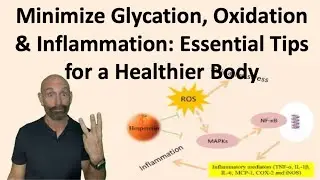 Minimize Glycation, Oxidation & Inflammation:  Essential Tips for a Healthier Body #properhumandiet