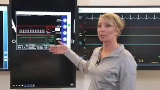 Automated Impella Controller™ (AIC): Understanding and Navigating the Placement Screen