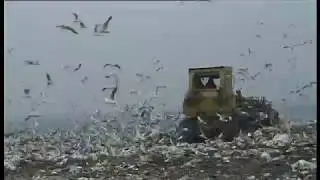 DEPONIJA (THE LANDFILL) English subtitles