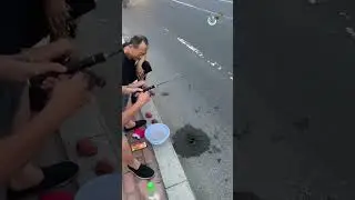 c&acirc;u c&aacute; độc lạ