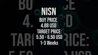 VSTM, NISN and QMMM