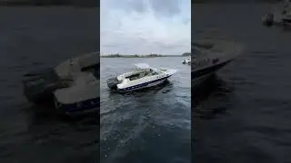 Bayliner 1700 продажа