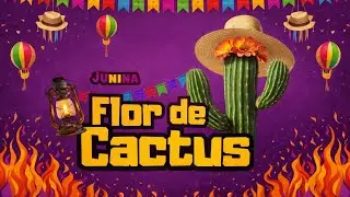 JUNINA FRO DE CACTUS NA PRA&Ccedil;A DOUTOR ARAMIS EM CANIND&Eacute; 