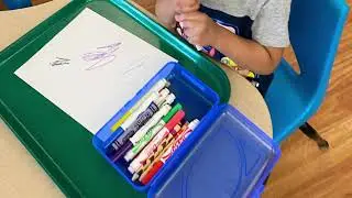 Direct Video: Teaching Skills and Strategies