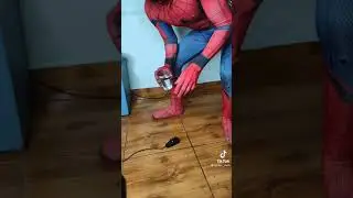 Pauvre spiderman