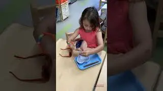 Cinnamon Grating Montessori Practical Life Activity