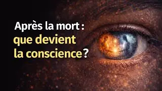 Après la mort : que devient la conscience ? Mémoire, perception, regrets