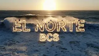 EL NORTE... The Tiny Kiters Come Out to Play