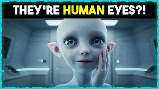 She Donated Her Eyes to a Blind Alien Child—Woke Up to Every Species Offering Theirs | HFY Stories
