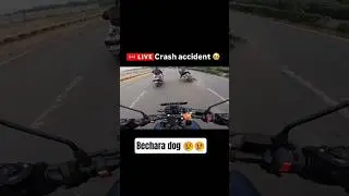 bike accident because of a dog crossing road 😐 #youtubeshorts #shortvideo #shorts #crash #dog #bike