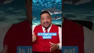 Законно ли есть акул? 🦈 #шорты