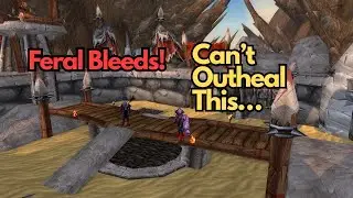 Feral Druid Bleeds Too Strong &ndash; Paladin Can&rsquo;t Outheal in MoP Classic Arenas