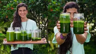 What's the BEST Juicer?! In-Depth Comparison for Leafy Greens...Save Your Money! 🌱