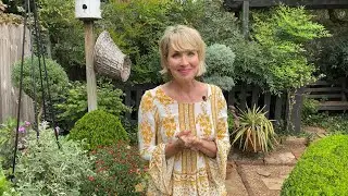 How did these plants REALLY perform?