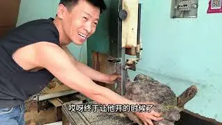 琥珀木大铁包料开锯啦！大家一起来看看结果如何！