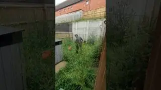 Clearing an overgrown garden so the owners can make a fresh start.
