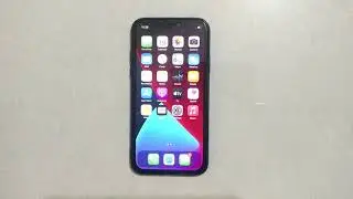 How To Disable Switch Control In IPhone X