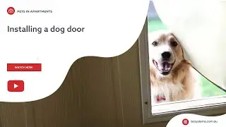 Installing a dog door