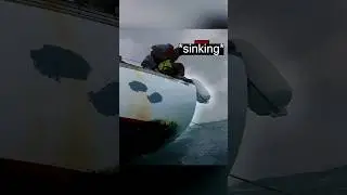 Man and Dog SAVED by Coast Guard