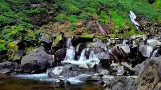 Emotional River Therapy to Heal Anxiety, Stress and Mental Disorders