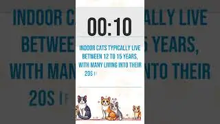 Lifespan of Cats: Indoor vs Outdoor