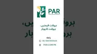 PAR Sukkur Ghalla Mandi Super Kernel Rates