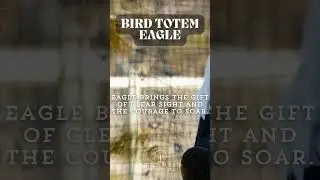 Eagle - Bird Totem