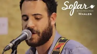 Whales - How Long | Sofar Porto