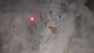 Frog Vs Laser Pointer By HTML AND CSS