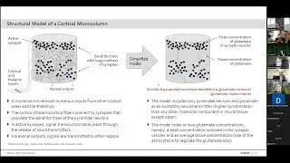 Consciousness Based In The Zero-Point Energy Field -- Joachim Keppler