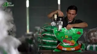 BIOECO - 16 a&ntilde;os de la mano con el ambiente.
