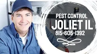 Pest Control in Manhattan IL - Call Us at 815-605-1392