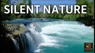 Silent Forest River & Waterfall 🌿 1 Hour Relaxing Nature Ambience | No Sound