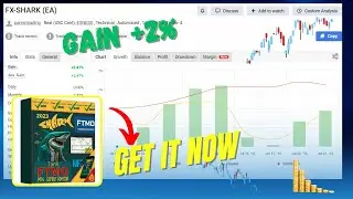 Is Shark Tank FTMO EA the Secret to Trading EURUSD & Gold?