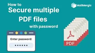 🔐 How to Secure Multiple PDF Files with Passwords