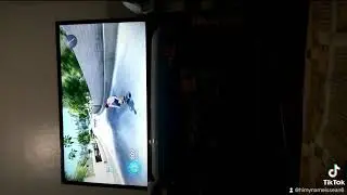 impossible landing challenge in skate 3