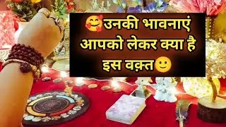 🥰Unki Feelings Iss Waqt Aapko Lekar🧿All Signs Collective Timeless Tarot & Pendulum Reading🌈