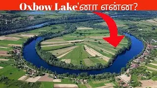 Why do all rivers curve and bend? ஆறுகள் எப்படி உருவாகிறது?Explained in Tamil #river #rivers #curves