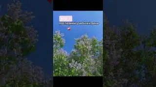 Эстетика Школы 🛣️ / school aesthetic video Tik Tok (тик ток)