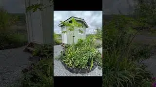 Hawaii Real Estate - 12-2173 Piilani Rd, Pahoa, HI 96778
