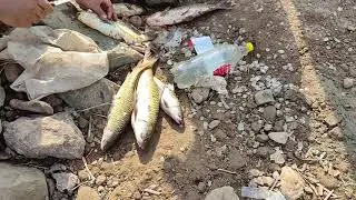 Caught Another Murakh on 2nd Day At Chahan Dam