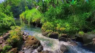 Calming River Sounds &ndash; 10 Hours of Natural ASMR for Focus & Anxiety Calm