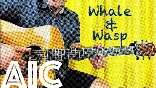 Guitar Lesson: How To Play Whale & Wasp by Alice In Chains