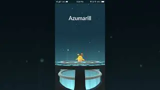 Shiny- Azurill full evolution [Pokemon go]