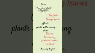 Shorts | Plant Words | Learning English | Shikha Mathur |