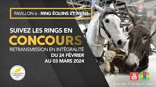 Ring Équins et Asins 29/02/2024