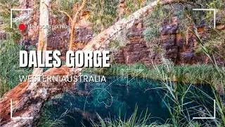 Amazing Hike in Karijini National Park - Dales Gorge Loop